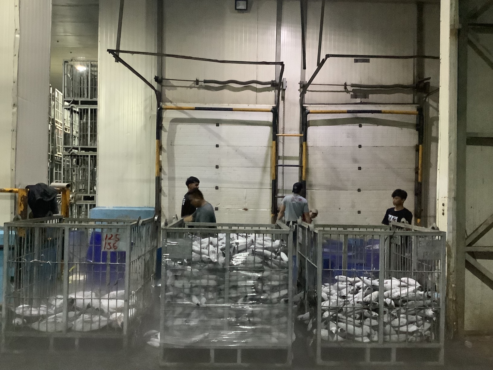 1st Picture of Global Fish Indonesia's Warehouse Activities