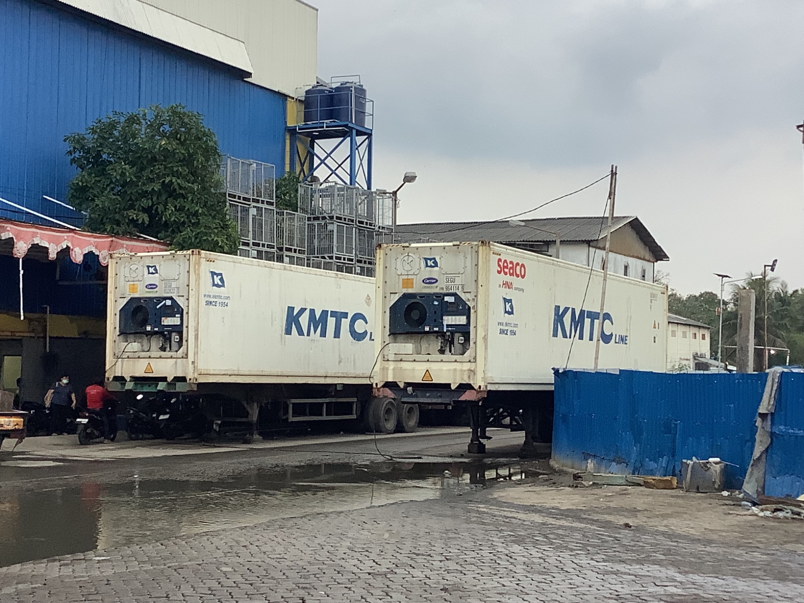 3rd Picture of Global Fish Indonesia's Warehouse Activities