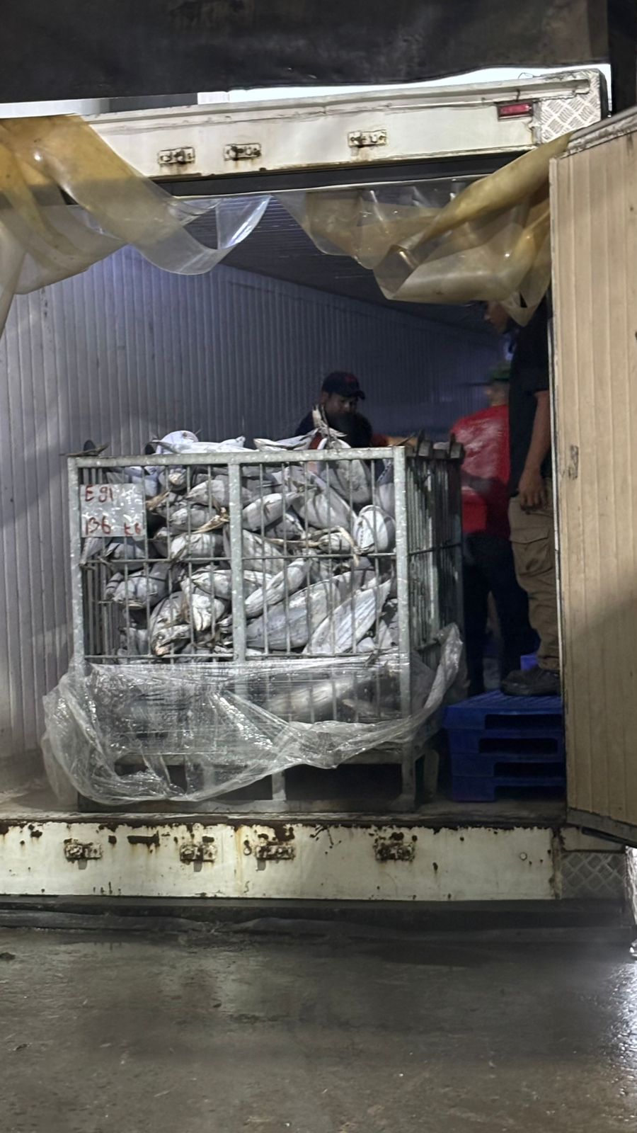 6th Picture of Global Fish Indonesia's Warehouse Activities